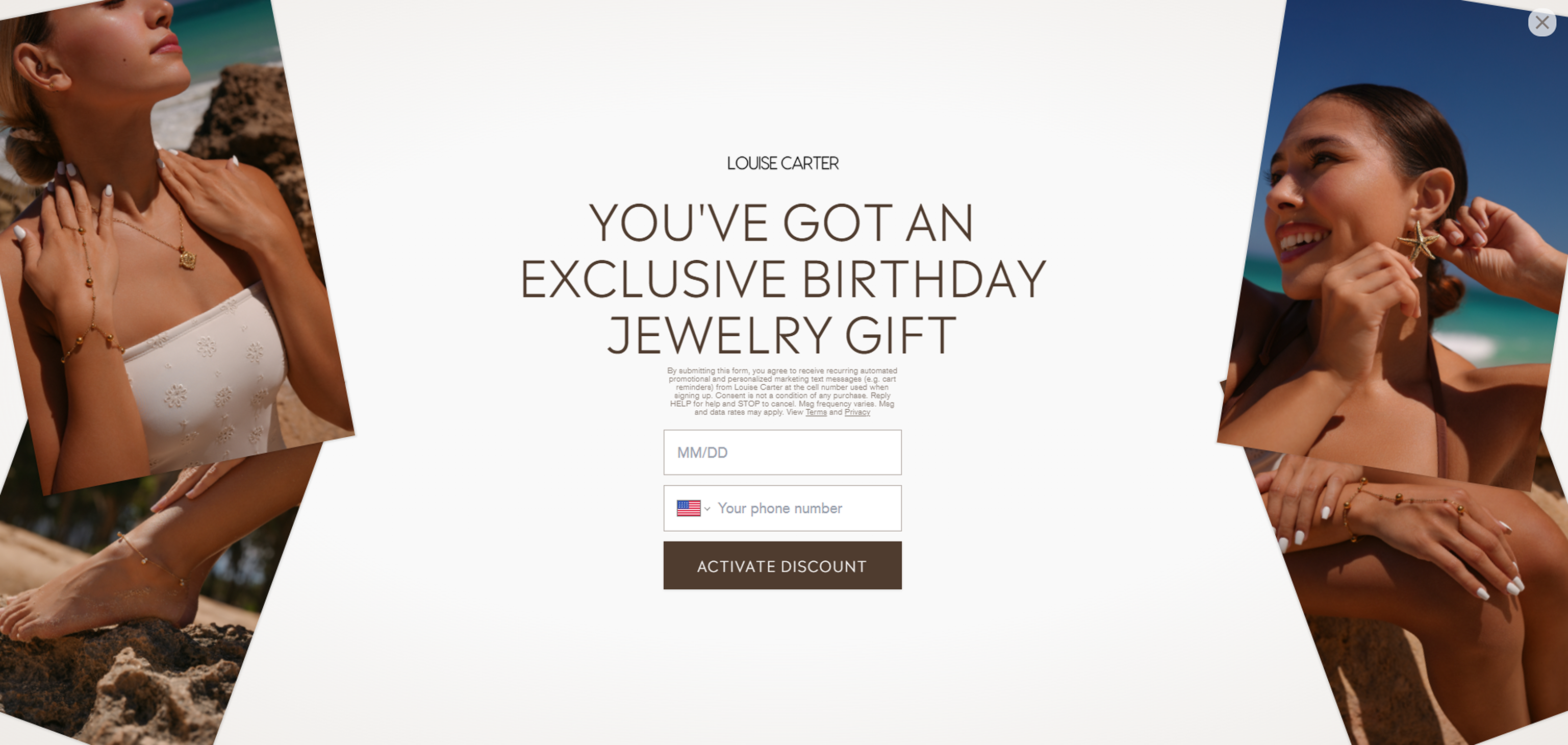 SMS Retargeting Popup - Desktop